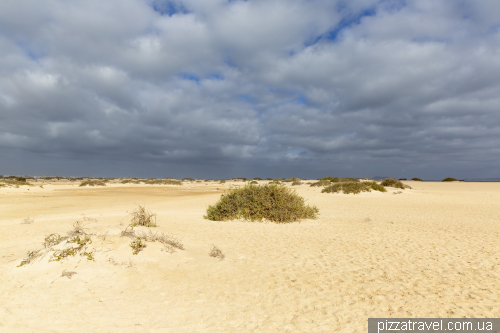 Playa del Pozo in Corralejo National Park