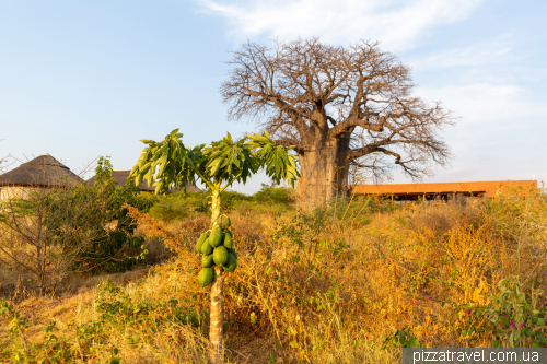 Suricata Boma Lodge