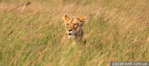 Serengeti National Park