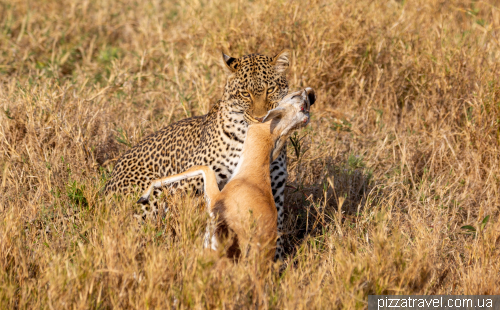 Serengeti National Park