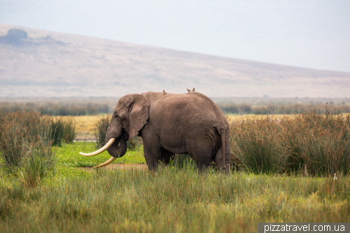 Ngorongoro National Park