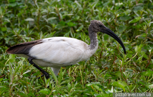 Ngorongoro National Park