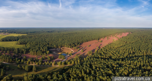 Цветение вереска на Миссельхорнер Хайде (Misselhorner Heide)