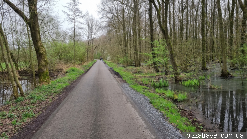 The path around Lake Dümmer