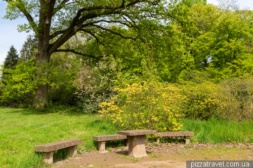 Rhododendrons in the Ohrberg Park, Emmerthal