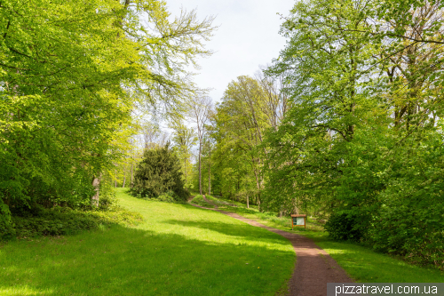 Рододендроны в парке Орберг (Ohrberg), Еммерталь