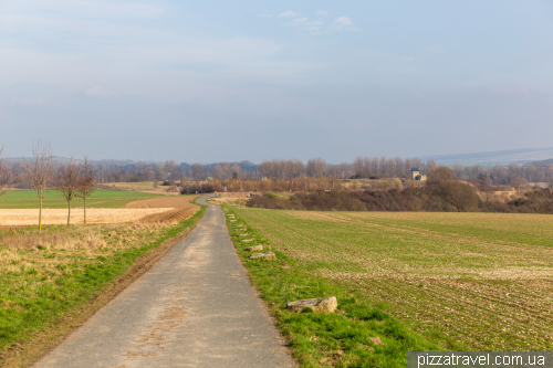 Руины королевского дворца в Верле (Königspfalz Werla)