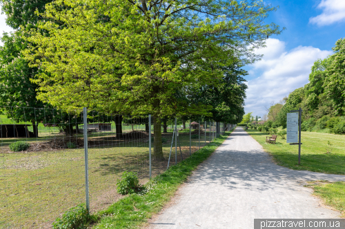 Эльбауенпарк в Магдебурге (Elbauenpark)