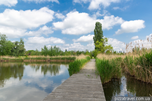 Эльбауенпарк в Магдебурге (Elbauenpark)