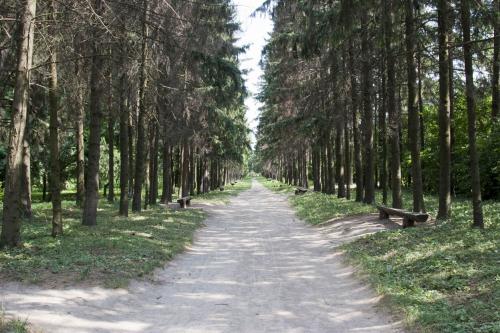 Krasnokutsk Arboretum