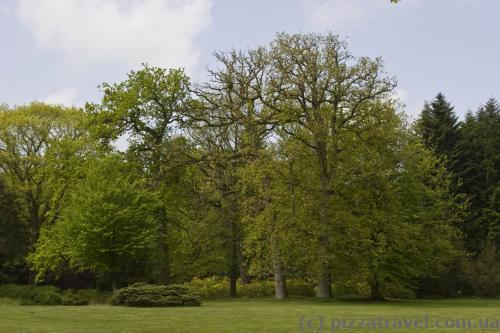 Park in Luetetsburg