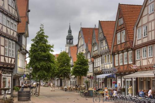 Half-timbered houses in the old town of Celle