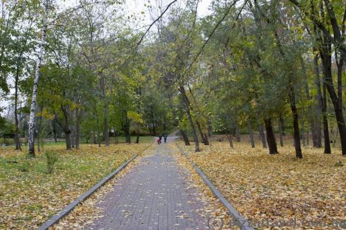 Berezovyi Gai (Birchwood) Park