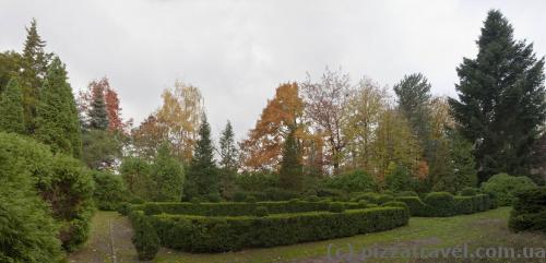 Syrets Arboretum