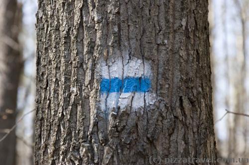 The ecotrails are marked with signs. If the color has changed, it means that the paint was over =)