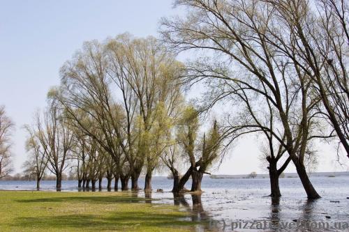 Mezyn National Nature Park