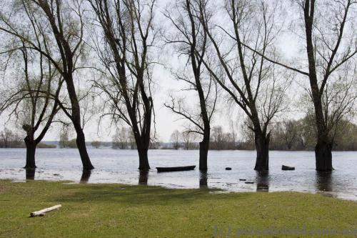 Mezyn National Nature Park