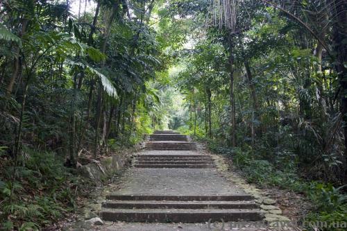 Path to Mount Faber (Marang Trail)