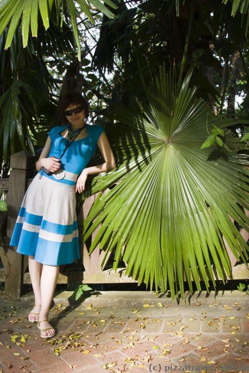 Huge leaves in the park