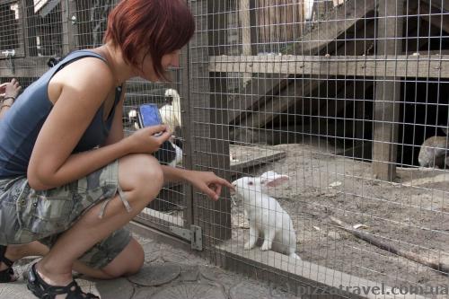 Зоопарк в Украинском селе